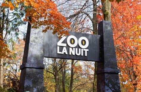 Une nuit au zoo 2025